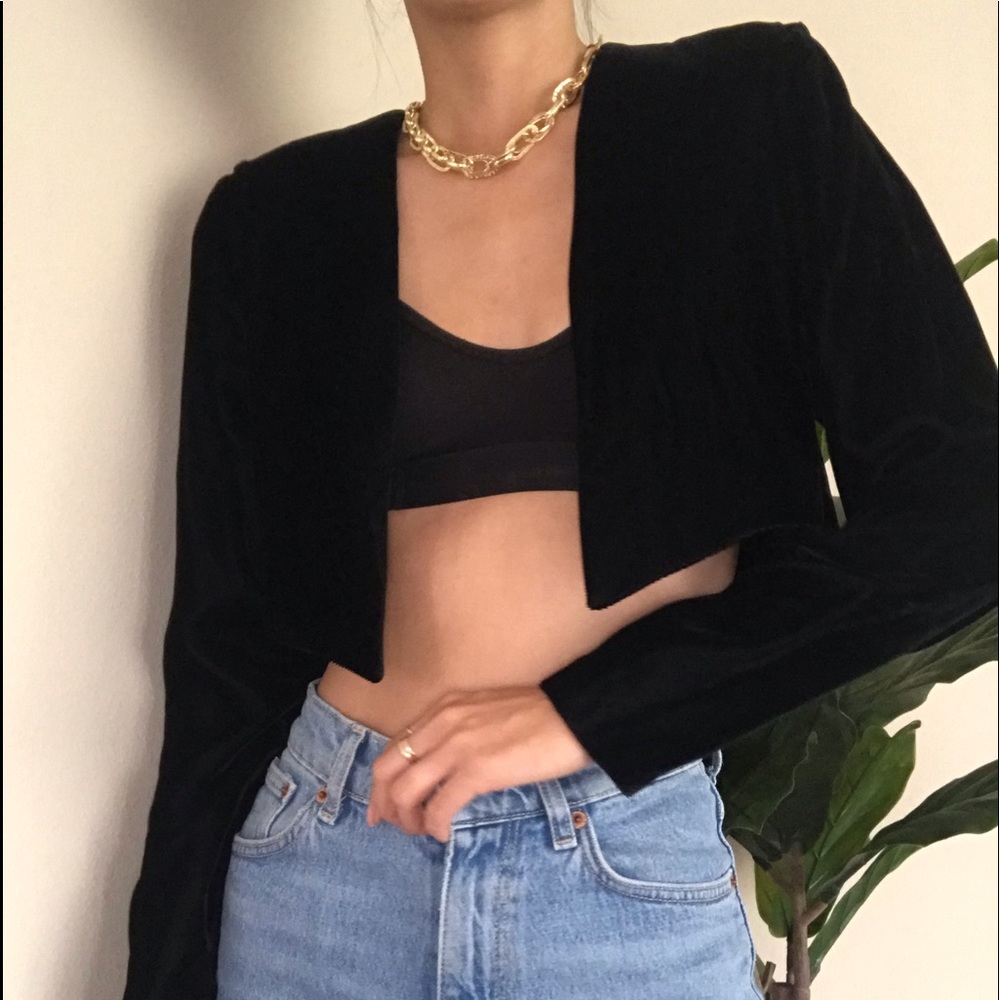 Roberta Cropped Velvet Open Blazer